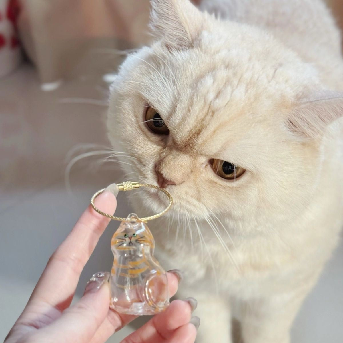 Transparent cat hair storage box charm capsule cat hair storage capsule