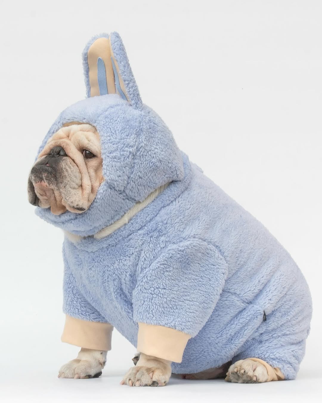 Dog Bubu Pet Clothes