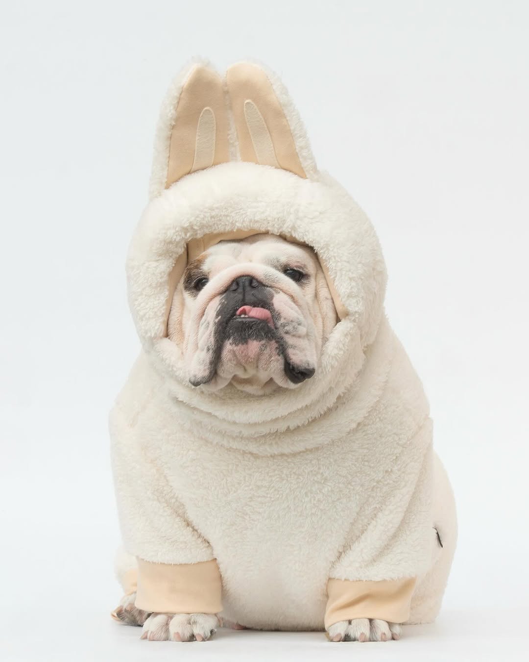 Dog Bubu Pet Clothes