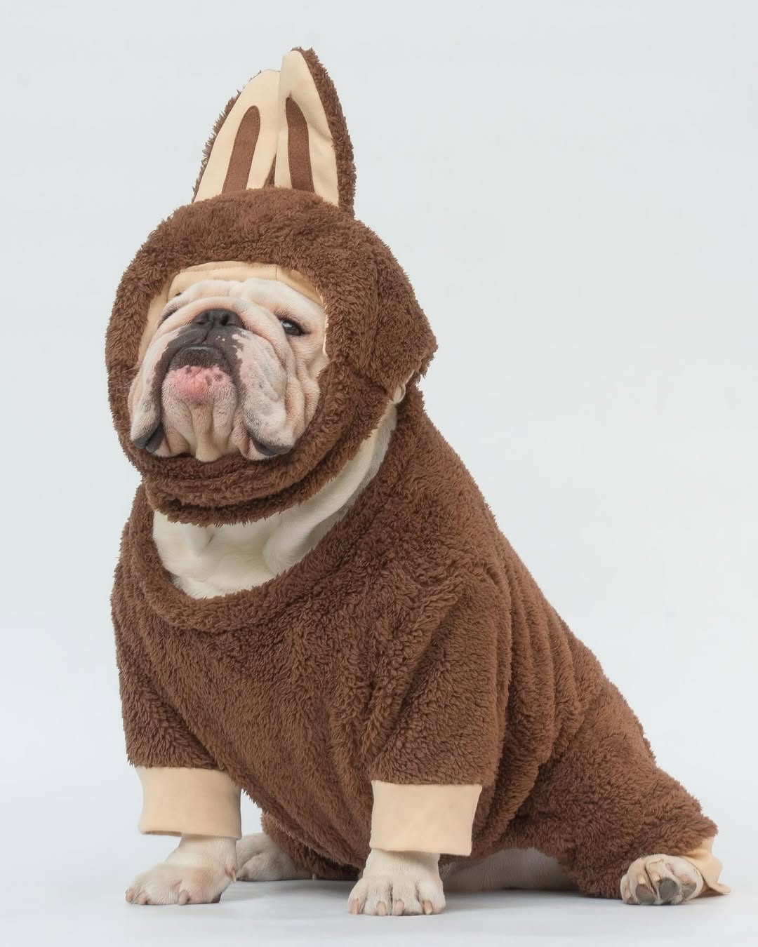 Dog Bubu Pet Clothes