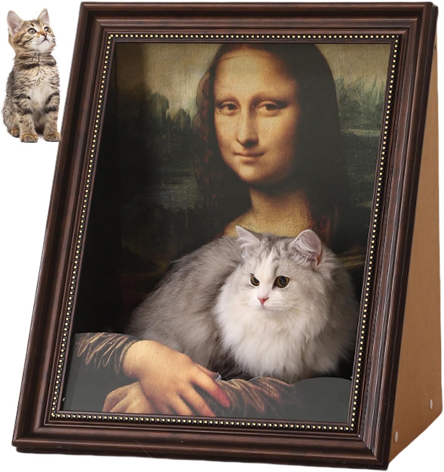 Art 3D Oil Painting with Armrest Front Panel Cat Scratching Post