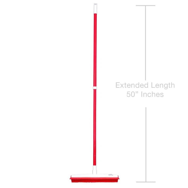 Hair Removal Broom