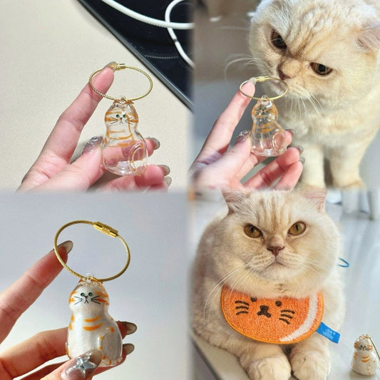 Transparent cat hair storage box charm capsule cat hair storage capsule