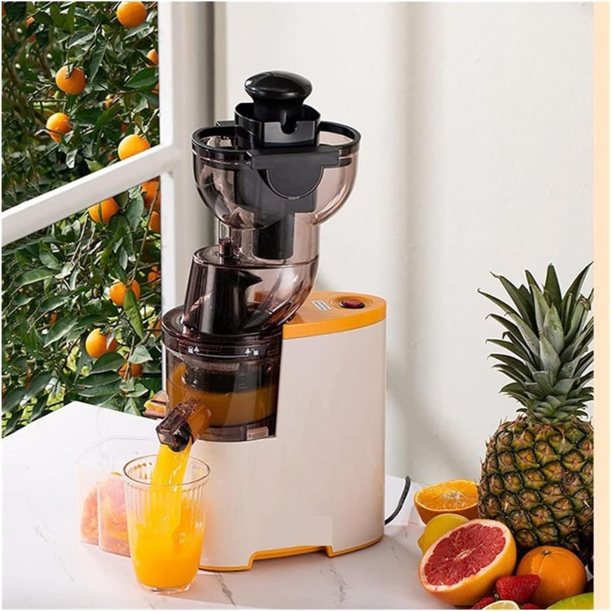 Slow Masticating Juicer