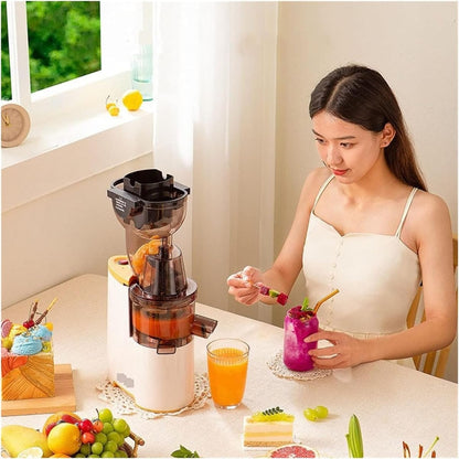 Slow Masticating Juicer