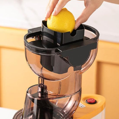 Slow Masticating Juicer
