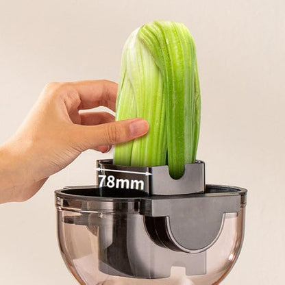 Slow Masticating Juicer