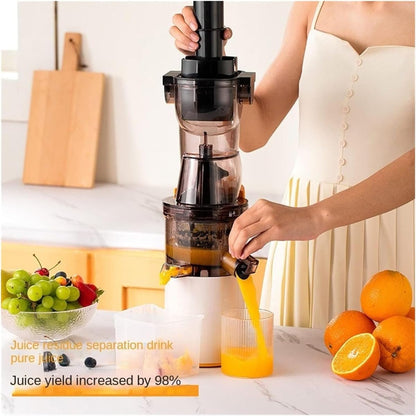 Slow Masticating Juicer